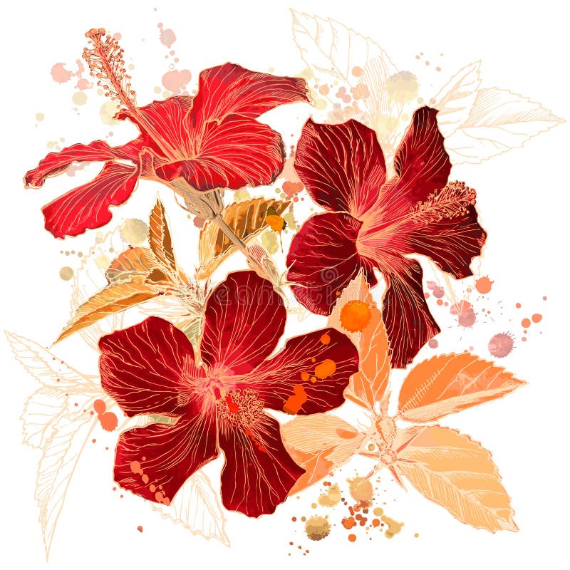 Waterverf - de bloem van de Hibiscus vector illustratie Waterverf - de bloem van de Hibiscus vector illustratie