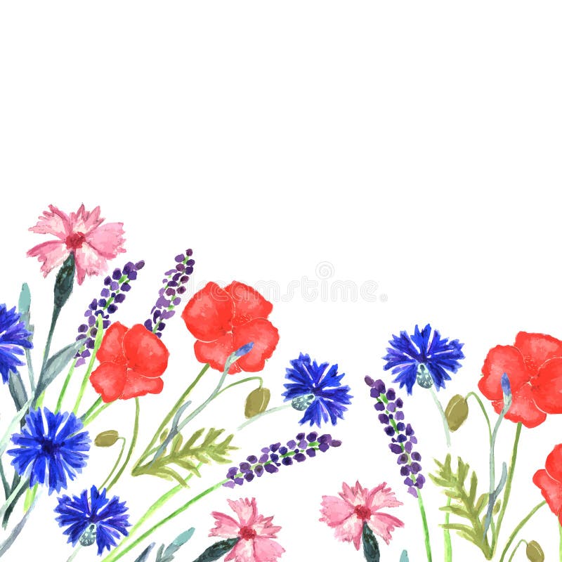 Waterverf geschilderde huwelijksuitnodiging Korenbloem, lavendel, schat en papaverbloemenpatroon stock illustratie Waterverf geschilderde huwelijksuitnodiging Korenbloem, lavendel, schat en papaverbloemenpatroon stock illustratie