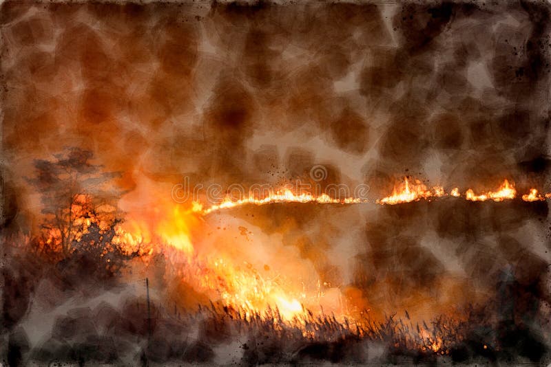 Waterverf het Schilderen van Brand Brandende Grassen en Bomen op Nacht royalty-vrije stock afbeeldingen Waterverf het Schilderen van Brand Brandende Grassen en Bomen op Nacht royalty-vrije stock afbeeldingen