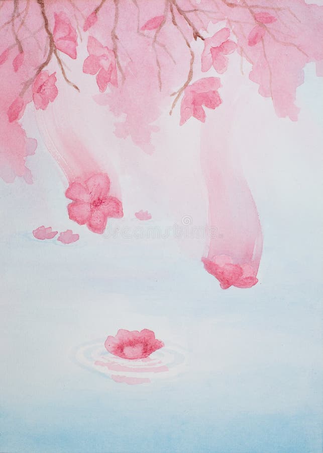Waterverf het schilderen van roze kers komt vallend van de boom en nog landend op water tot bloei vector illustratie Waterverf het schilderen van roze kers komt vallend van de boom en nog landend op water tot bloei vector illustratie