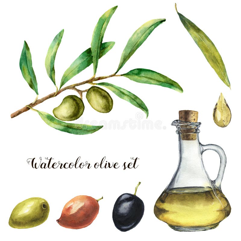 Waterverf met olijf wordt geplaatst die De hand schilderde illustratie met olijfbessen, fles met olijfolie en boomtakken met royalty-vrije illustratie Waterverf met olijf wordt geplaatst die De hand schilderde illustratie met olijfbessen, fles met olijfolie en boomtakken met royalty-vrije illustratie