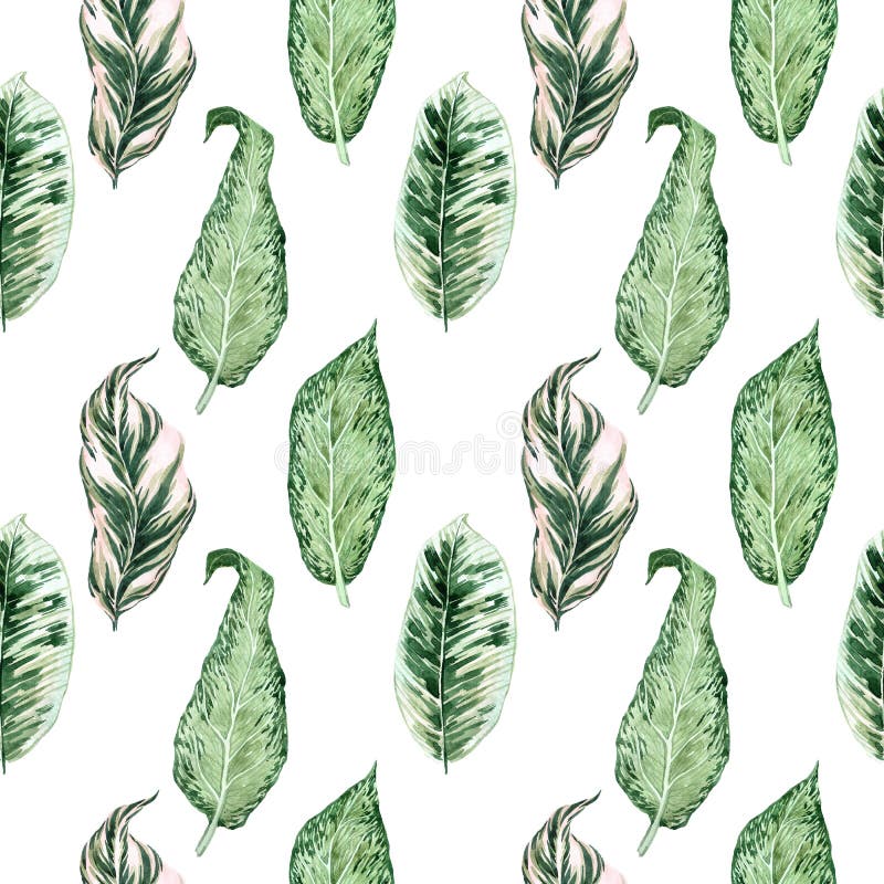 Waterverf naadloos patroon met tropische bladeren en houseplants bladeren groen succulent Bloemen ontwerpelement Perfectioneer vo royalty-vrije illustratie Waterverf naadloos patroon met tropische bladeren en houseplants bladeren groen succulent Bloemen ontwerpelement Perfectioneer vo royalty-vrije illustratie