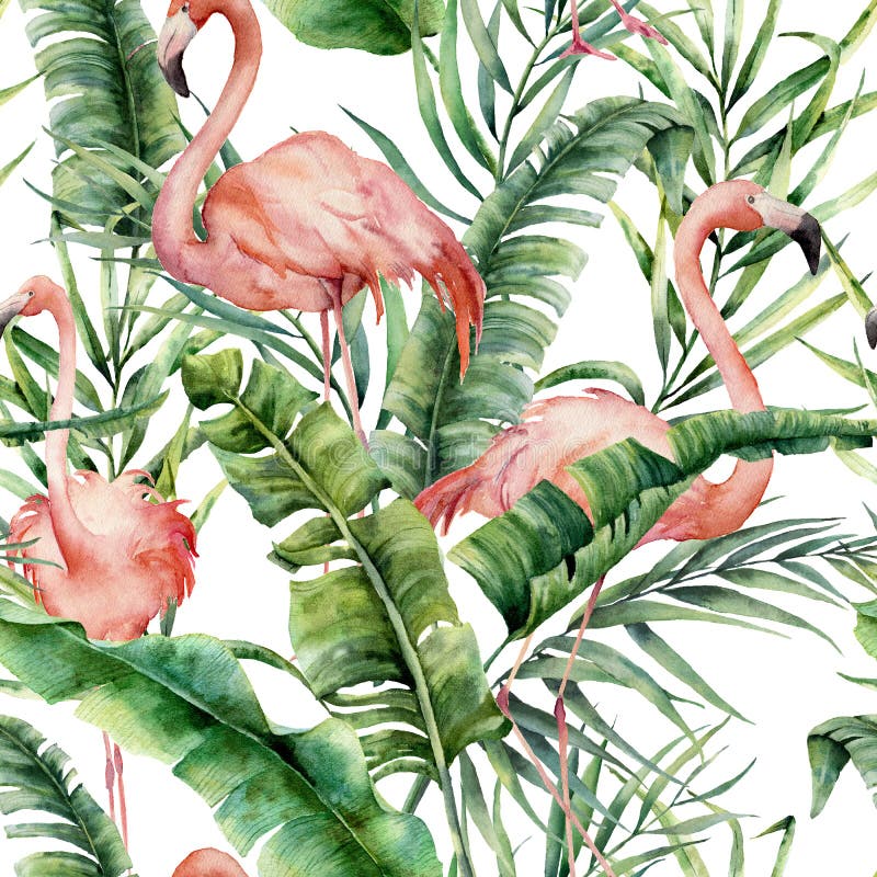 Waterverf tropisch patroon met palmbladen en flamingo Hand geschilderde groen exotische tak en bladeren op wit stock illustratie Waterverf tropisch patroon met palmbladen en flamingo Hand geschilderde groen exotische tak en bladeren op wit stock illustratie