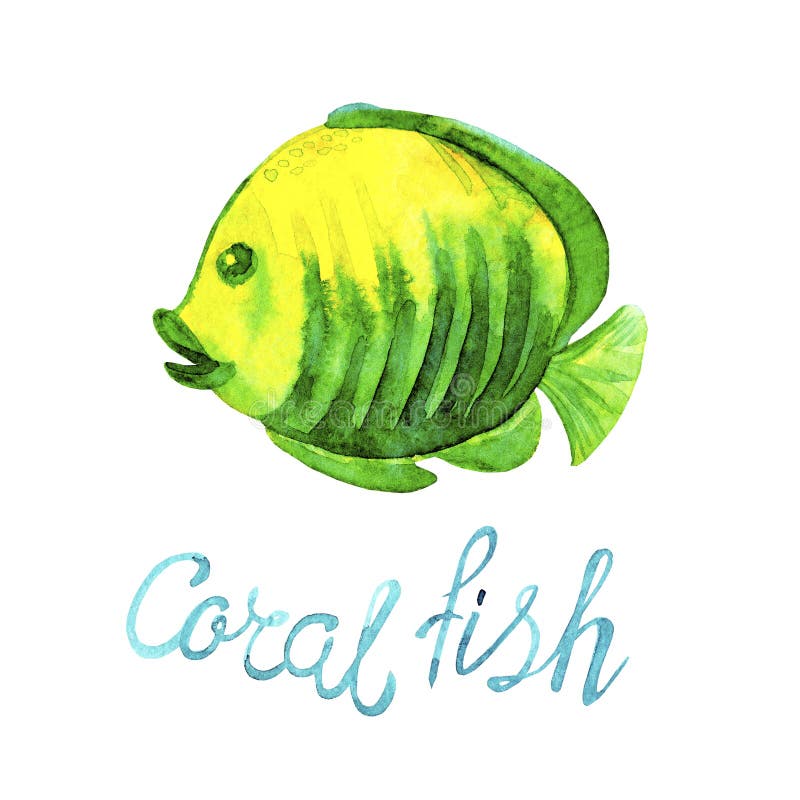 Waterverf tropische Overzeese Vissen van koraalriffen geelgroene die kleur en het van letters voorzien Koraalvissen op witte acht royalty-vrije illustratie Waterverf tropische Overzeese Vissen van koraalriffen geelgroene die kleur en het van letters voorzien Koraalvissen op witte acht royalty-vrije illustratie