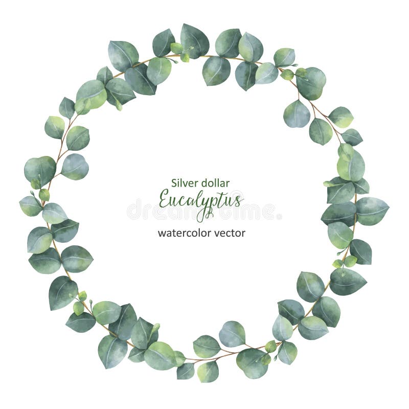 Watercolor vector round wreath with silver dollar eucalyptus. Healing Herbs for cards, wedding invitation, posters, save the date or greeting design. Summer flowers with space for your text. Watercolor vector round wreath with silver dollar eucalyptus. Healing Herbs for cards, wedding invitation, posters, save the date or greeting design. Summer flowers with space for your text.