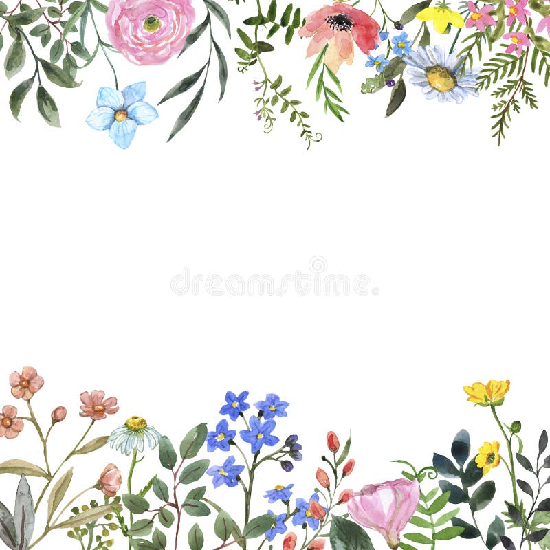 Watercolor wildflower border frame with blank space for text. Hand drawn pink, yellow, blue meadow flowers and herbs. Botanical frame for design. Watercolor wildflower border frame with blank space for text. Hand drawn pink, yellow, blue meadow flowers and herbs. Botanical frame for design