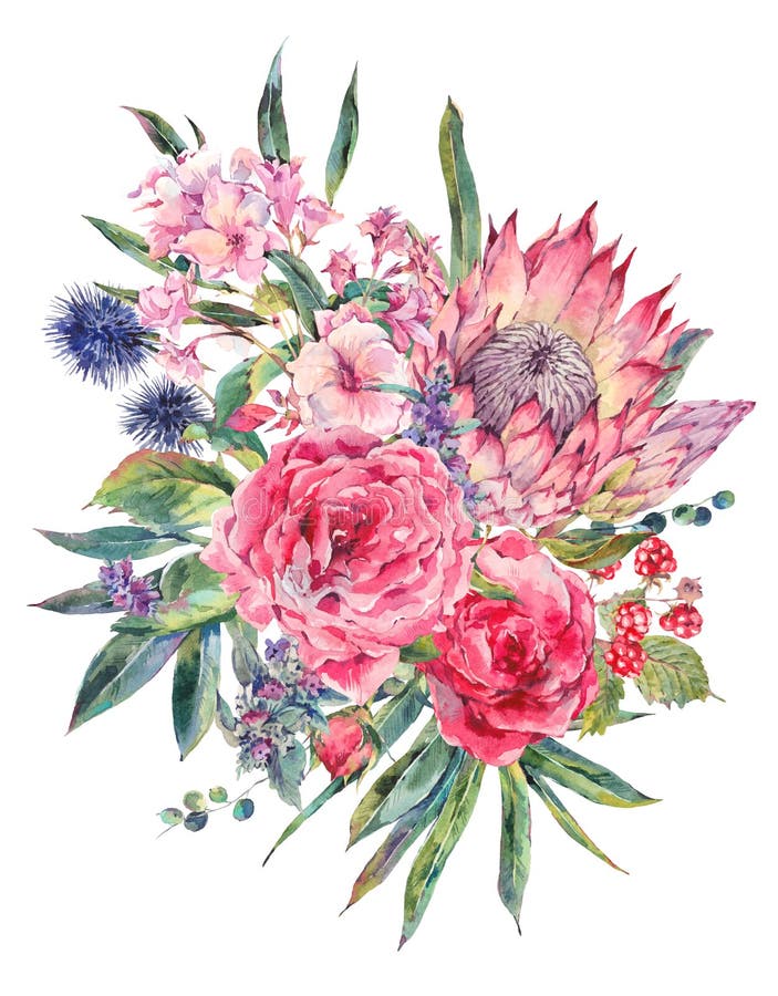 Waterverfboeket van rozen, protea en wildflowers