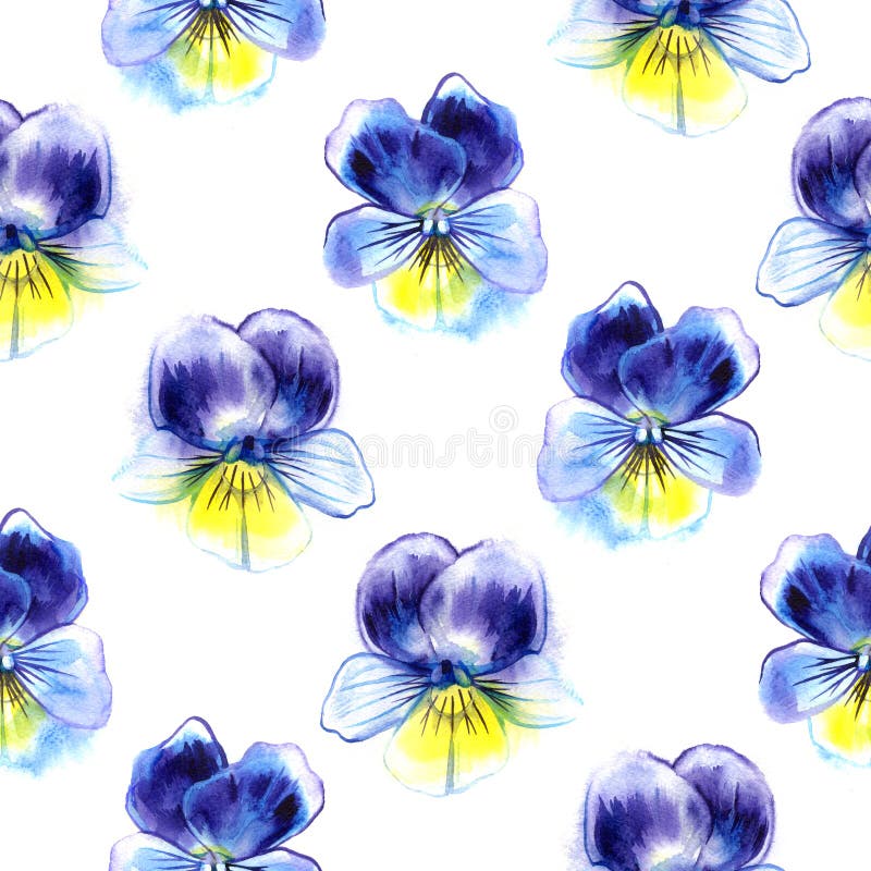 Waterverfillustratie van Violette bloemen Naadloos patroon Naadloze achtergrond van mooi viooltje stock illustratie Waterverfillustratie van Violette bloemen Naadloos patroon Naadloze achtergrond van mooi viooltje stock illustratie