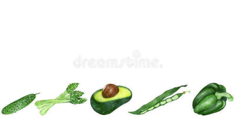 Waterverfkader van groene groenten en gezond die kruiden op witte achtergrond worden geïsoleerd stock illustratie Waterverfkader van groene groenten en gezond die kruiden op witte achtergrond worden geïsoleerd stock illustratie
