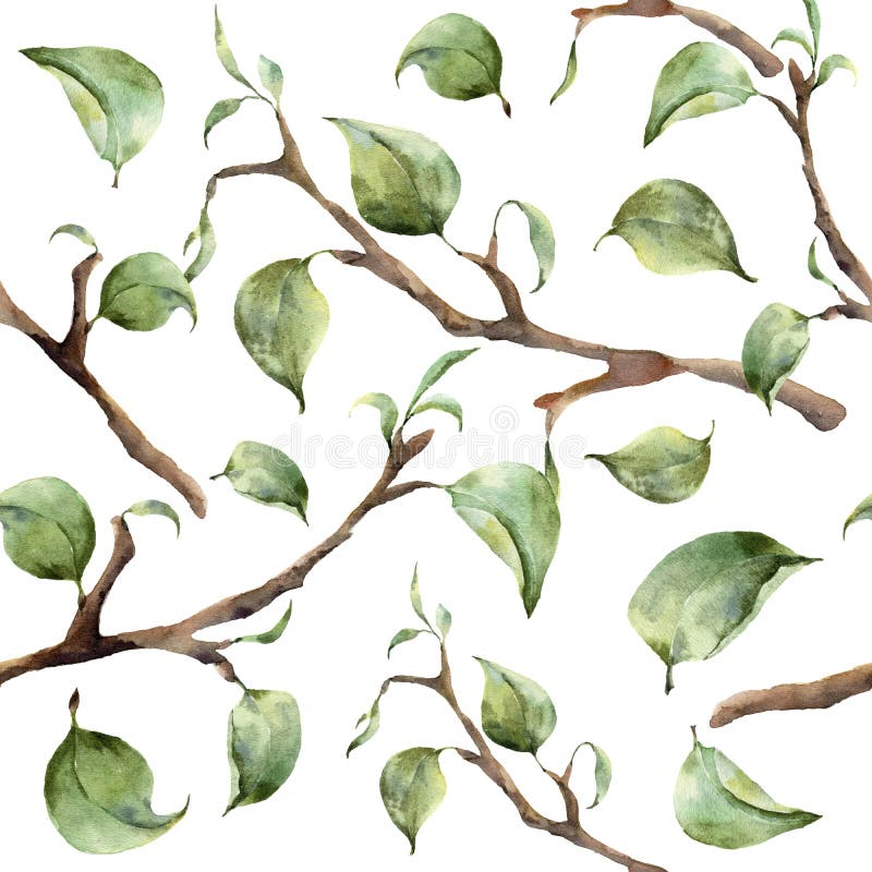 Waterverfpatroon met boomtakken en bladeren Hand geschilderd de lenteornament met bloemen geïsoleerde elementen met bladeren royalty-vrije illustratie Waterverfpatroon met boomtakken en bladeren Hand geschilderd de lenteornament met bloemen geïsoleerde elementen met bladeren royalty-vrije illustratie