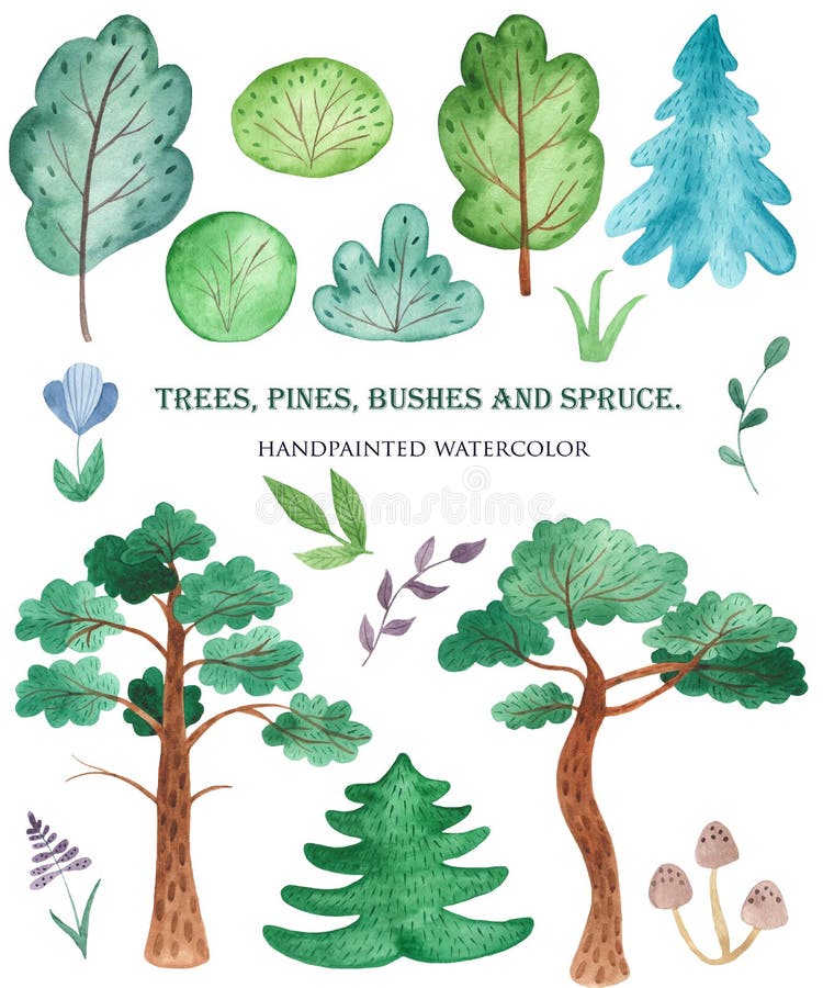 Waterverfpijnboom, sparren, bomen, struiken, stenen, bloemen, paddestoelen royalty-vrije illustratie Waterverfpijnboom, sparren, bomen, struiken, stenen, bloemen, paddestoelen royalty-vrije illustratie