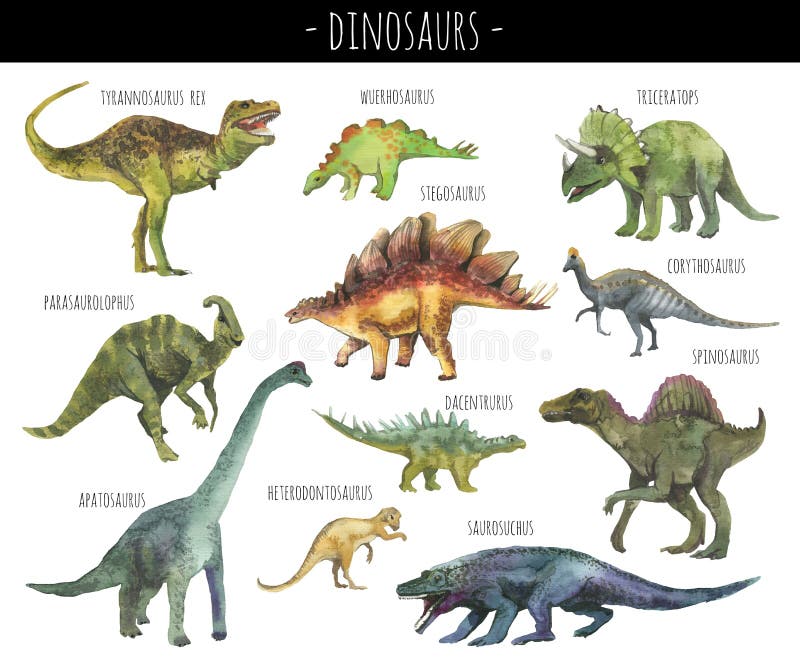 Waterverfreeks hand getrokken realistische dinosaurussen royalty-vrije illustratie Waterverfreeks hand getrokken realistische dinosaurussen royalty-vrije illustratie