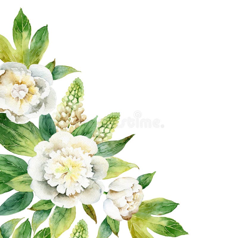 Waterverfsamenstelling met witte pioenen en lupine stock illustratie Waterverfsamenstelling met witte pioenen en lupine stock illustratie