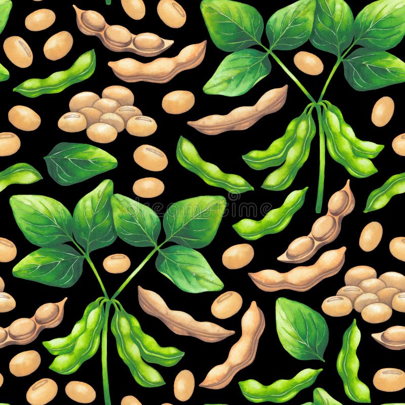 Watetcrolor Seamless Pattern of Soy Beans and Leaves. Stock
