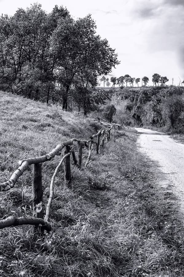 Wattle Fence along the dirt Road stock photo Wattle Fence along the dirt Road stock photo