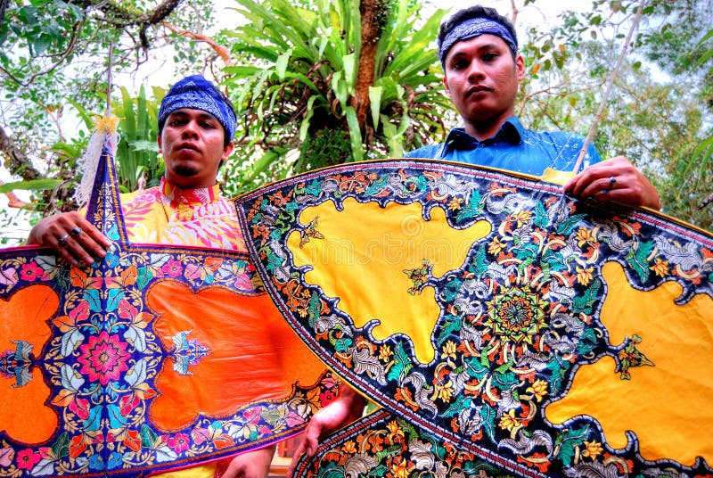 Wau (malaysian kite) editorial image. Image of motifs - 28069975