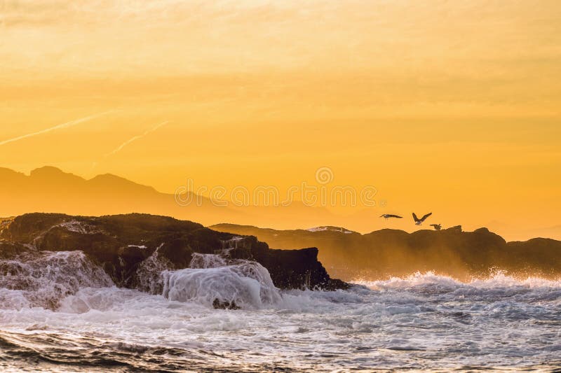 Wave breaking on the rocks at sunset.