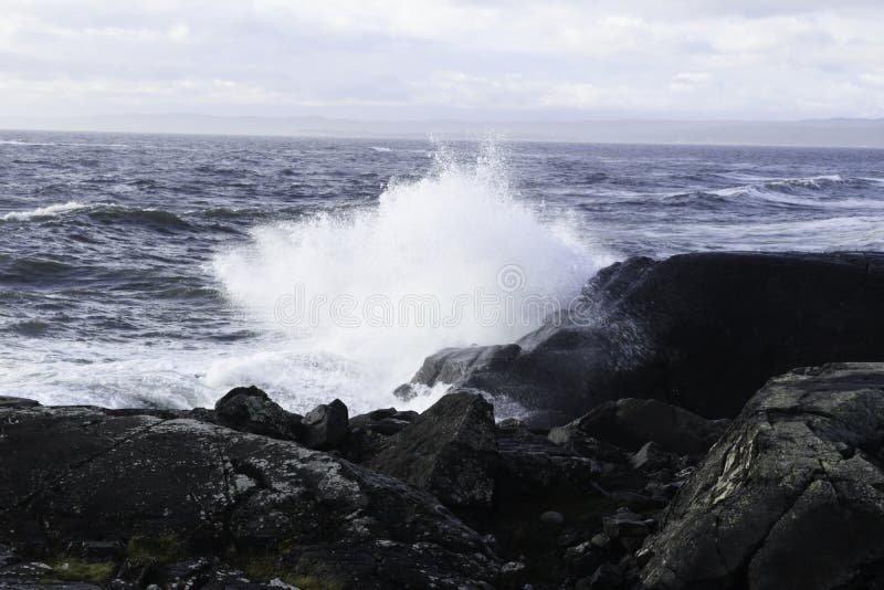 Norvegia dove pericoloso onde Sono travolgente sul rocce.