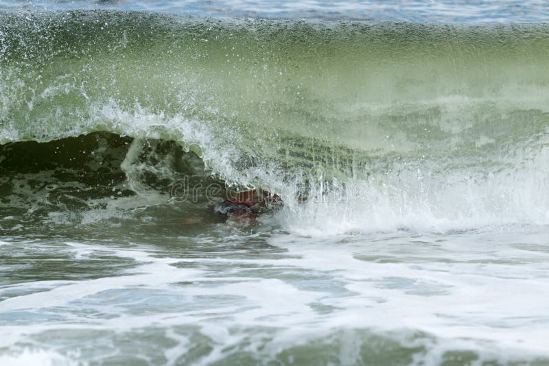 Wave curls over man swimming in the atlantic ocean off of Fire I stock photography Wave curls over man swimming in the atlantic ocean off of Fire I stock photography
