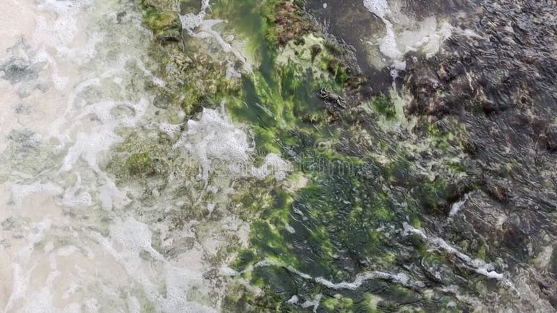A wave runs over the rocky shore,top view. Water washes a stone stock video footage