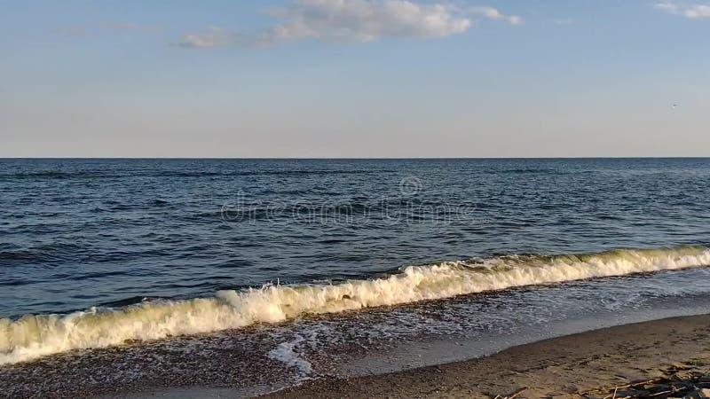 A wave runs on the sandy shore of the sea, mobile video stock video footage