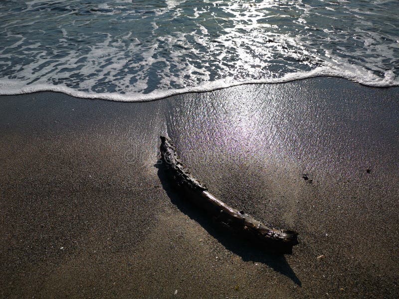 Wave on the sand beach - wooden stump royalty free stock image Wave on the sand beach - wooden stump royalty free stock image