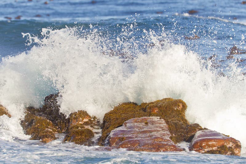 Waves breaking at the Cape of Good Hope