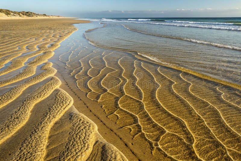 Waves forming intricate patterns in the sand vector illustration