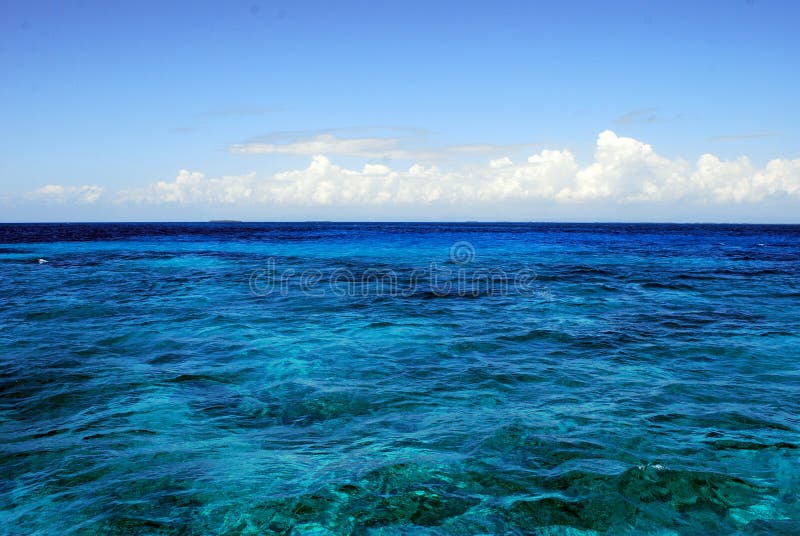 waves för wave för fokusförgrundshav arkivbilder waves för wave för fokusförgrundshav arkivbilder