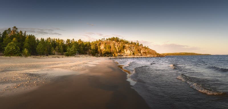 Waves Hit Sandy Beach Coastal Conifer Forest At The Background Stock