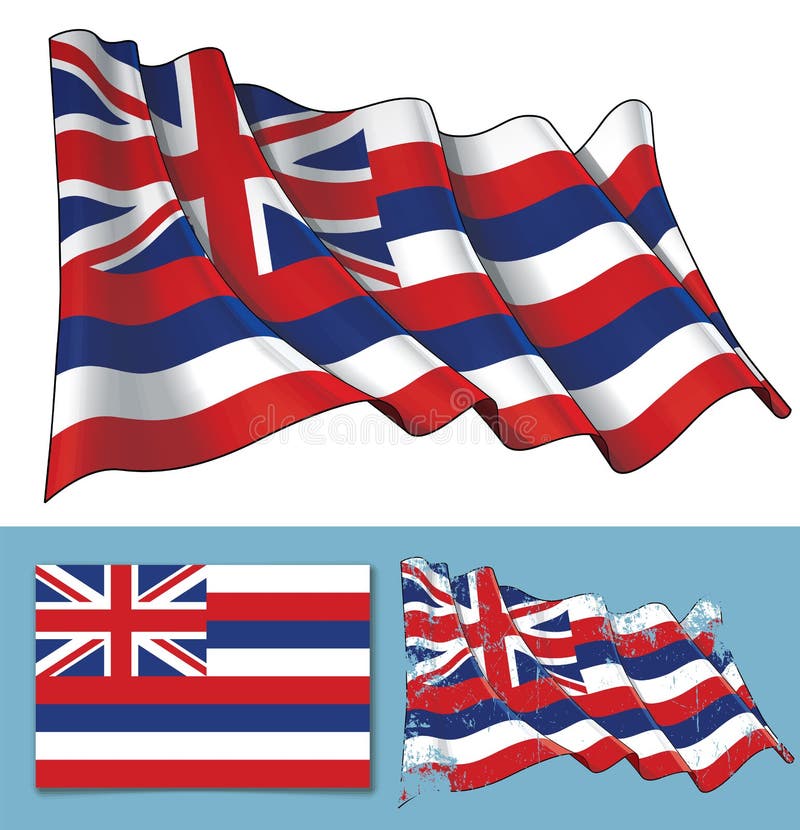 Download Waving Flag Of The State Of Hawaii Stock Vector ...