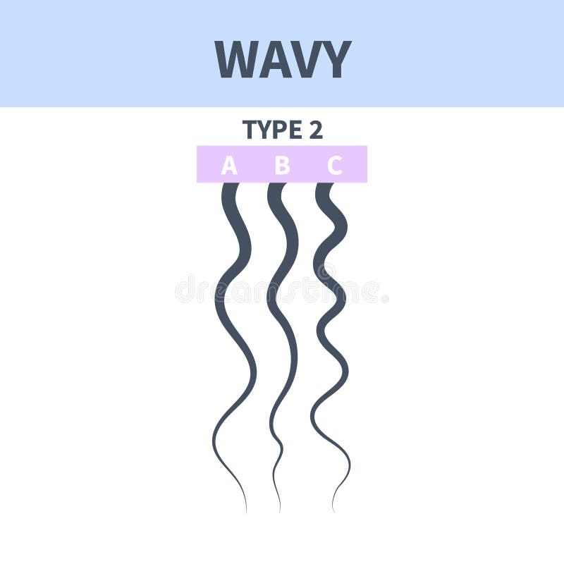Wavy Hair Type Chart of Strands Growth Pattern Stock Vector - Illustration of type, curl: 258015677 Wavy Hair Type Chart of Strands Growth Pattern Stock Vector - Illustration of type, curl: 258015677