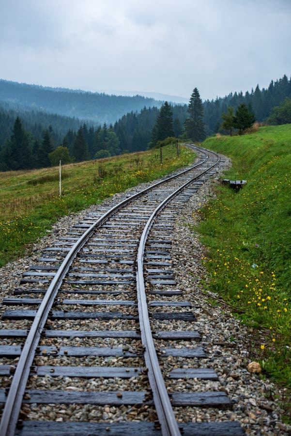 Zvlněná srubová železniční trať v mokrém zeleném lese s čerstvými loukami