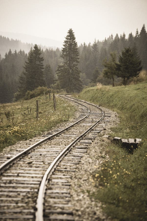 Zvlnené zrubové železničné trate vo vlhkom zelenom lese so sviežimi lúkami - vintage retro vzhľad