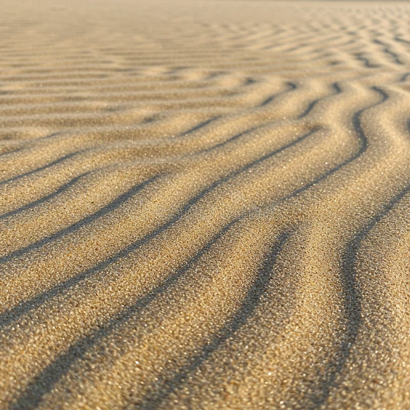 Wavy patterns of fine sand with a golden hue create a mesmerizing texture. The stock illustration