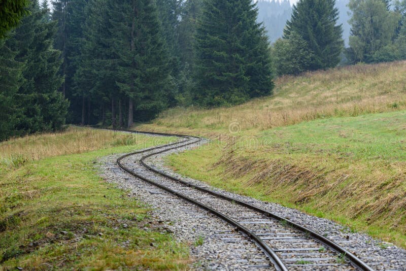 wavy railroad tracks in wet summer day in forest