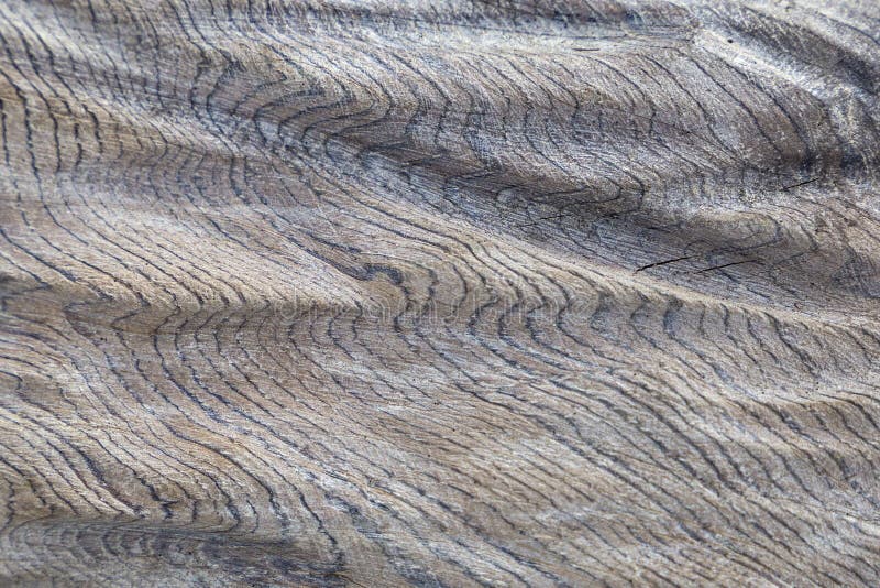 Wavy wood texture stock image. Image of material, gray - 113497735