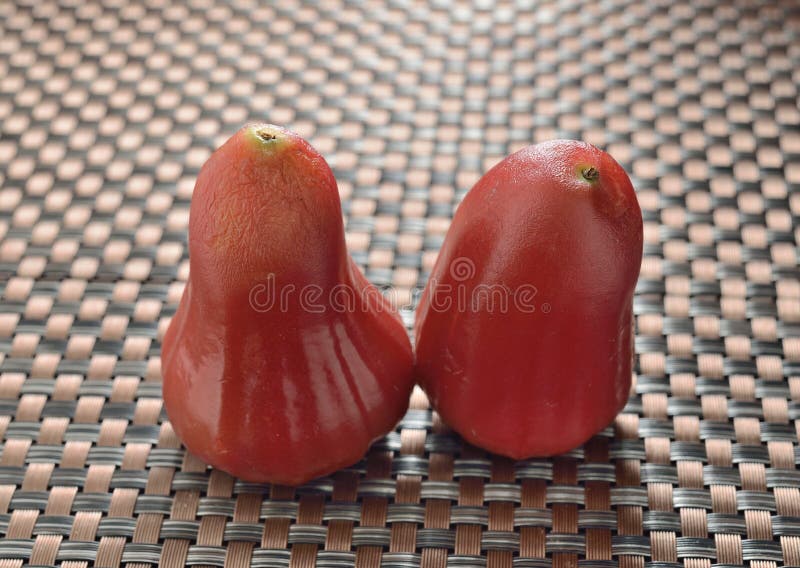 Wax apple fruit stock photo. Image of sunda, species 79100360