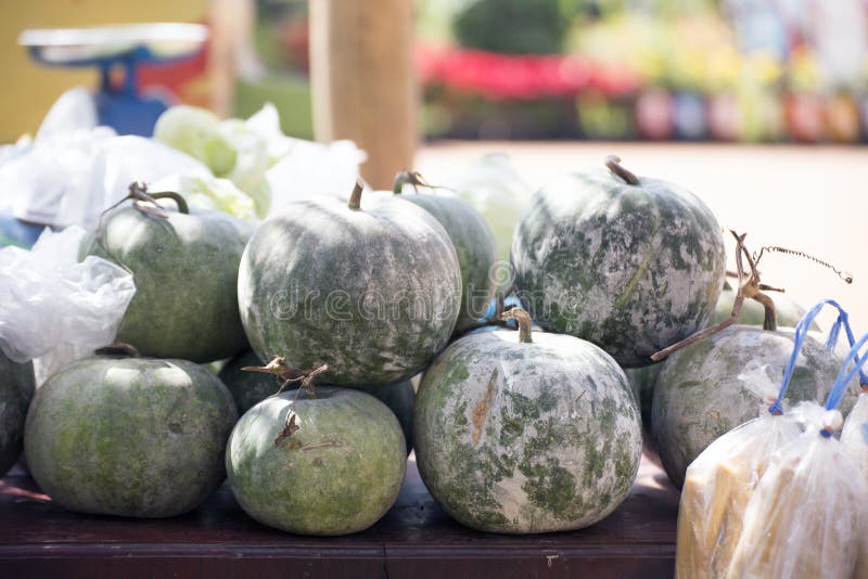 Wax Gourd or Benincasa Hispida or Ash Gourd or White Gourd or Tallow