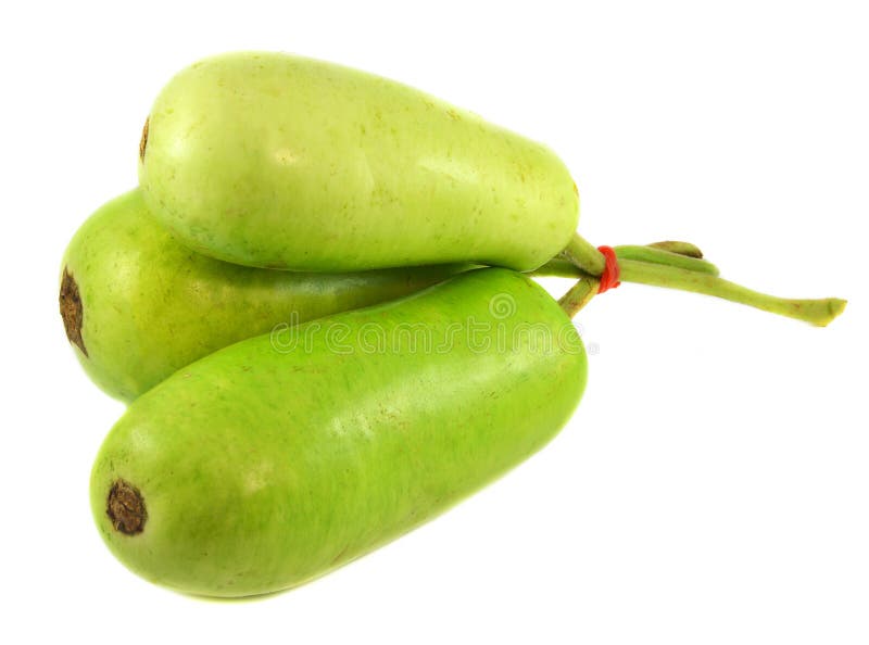 Wax gourd or Bottle Gourd stock photo. Image of croft 57894064