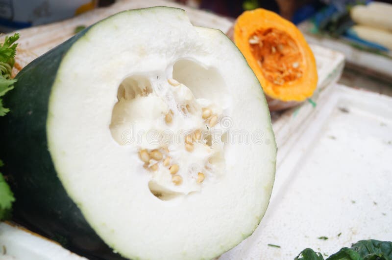 Wax gourd stock photo. Image of food, pumpkin, gourd 31608522