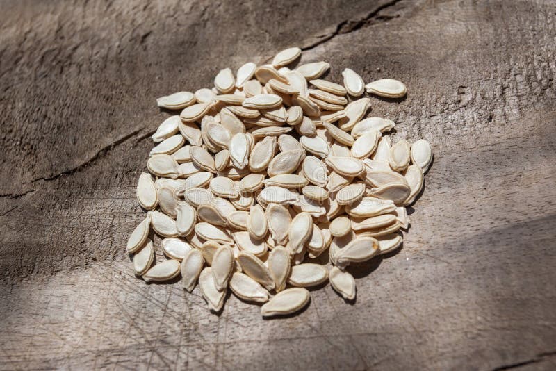 Wax gourd seeds stock photo. Image of leaf, close, grow 34318354