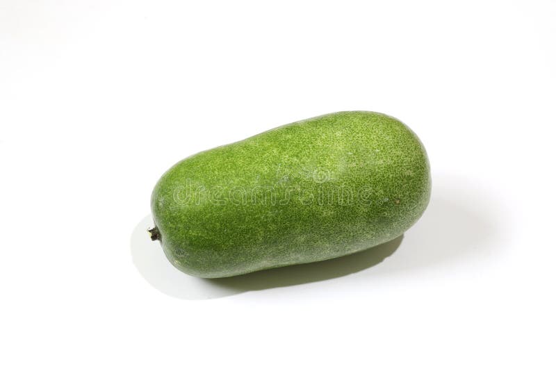 A Wax Gourd in a White Background Stock Photo Image of ingredient