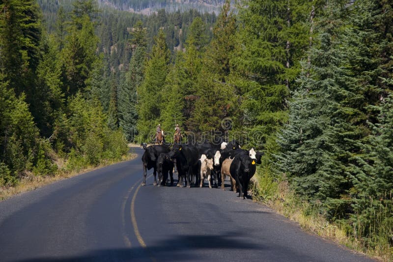 On the way to the Farm