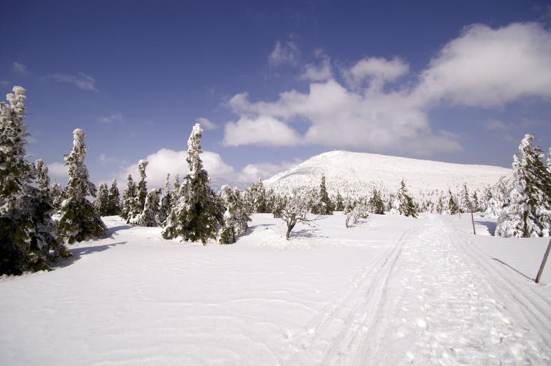 Way to Snezka mountain