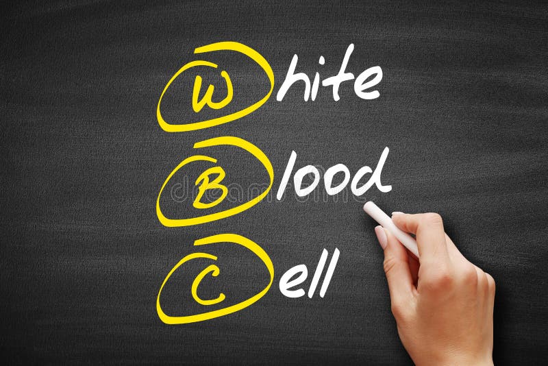 WBC White Blood Cell Acronym, Concept on Blackboard Stock Photo