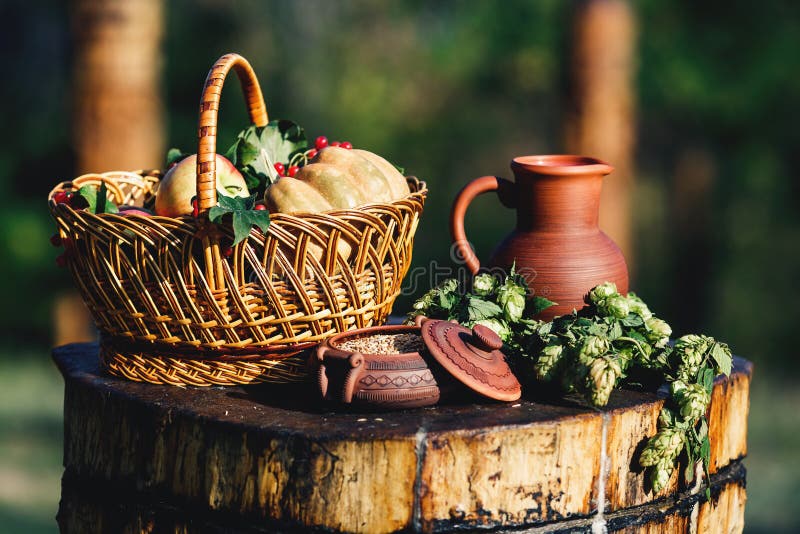 Wciąż życie na naturze od glinianego dzbanka, banatka w garnku, podskakuje na drewnianym pokładzie, kosze z banią, jabłka, jagody fotografia stock Wciąż życie na naturze od glinianego dzbanka, banatka w garnku, podskakuje na drewnianym pokładzie, kosze z banią, jabłka, jagody fotografia stock