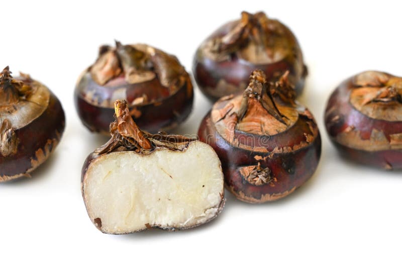448 Chinese Water Chestnut Stock Photos Free & RoyaltyFree Stock