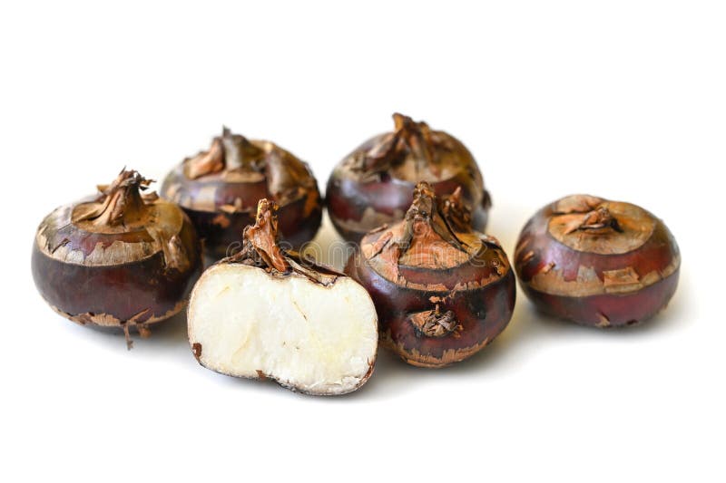448 Chinese Water Chestnut Stock Photos Free & RoyaltyFree Stock