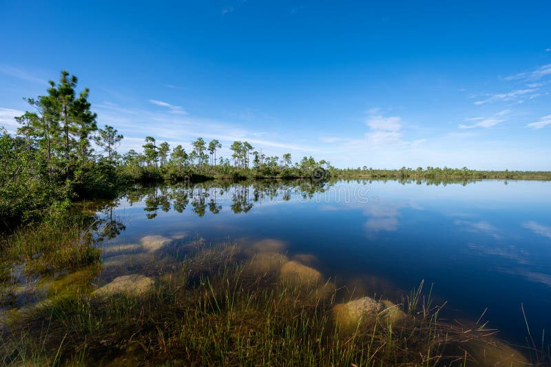 Wczesny ranek chmura nad jeziorem sosnowym w parku narodowym everglades. obrazy stock